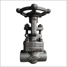 國標(biāo)鍛鋼閘閥