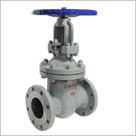 國標(biāo)手動(dòng)閘閥