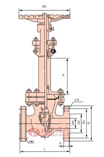 美標低溫閘閥結構圖